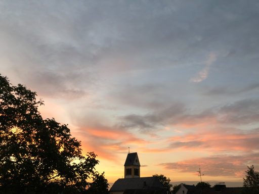 weitere Eindrücke aus  Langst-Kierst 