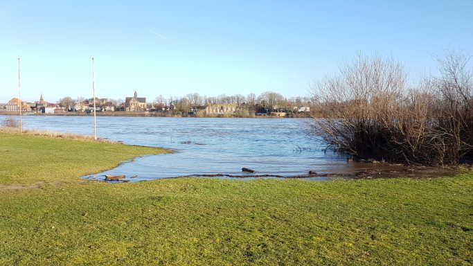 weitere Eindrücke aus  Langst-Kierst 