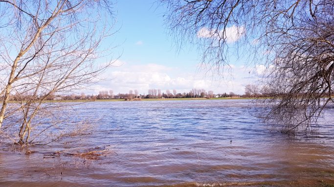 weitere Eindrücke aus  Langst-Kierst 