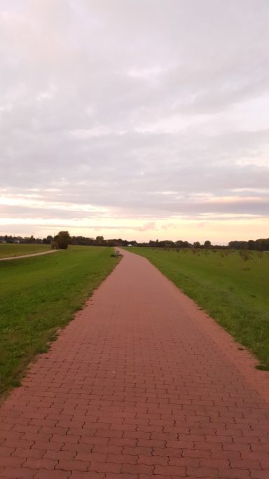 weitere Eindrücke aus  Langst-Kierst 
