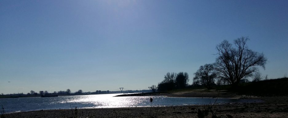 weitere Eindrücke aus  Langst-Kierst 