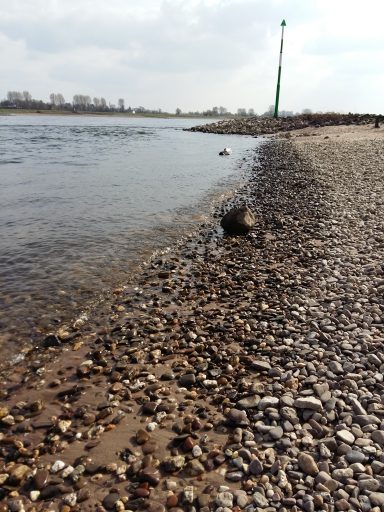 weitere Eindrücke aus  Langst-Kierst 